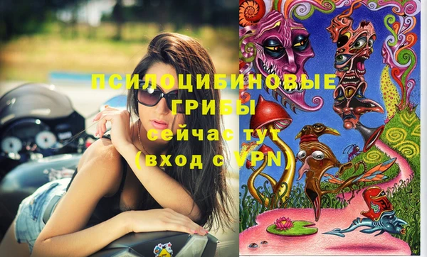 MDMA Premium VHQ Белоозёрский