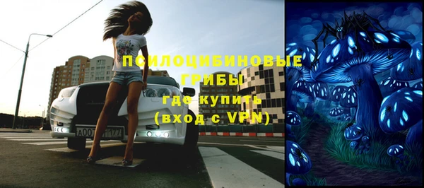 трава Беломорск