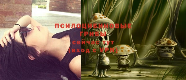 PSILOCYBIN Белокуриха
