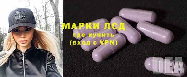 PSILOCYBIN Белокуриха