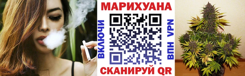 закладка  Бородино  Бошки Шишки план 